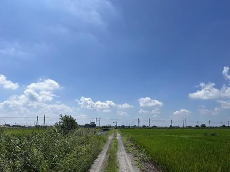 砂利道と夏空 砂利道と夏空の写真