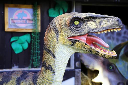 Photo, healing, dinosaur, hakodate, 