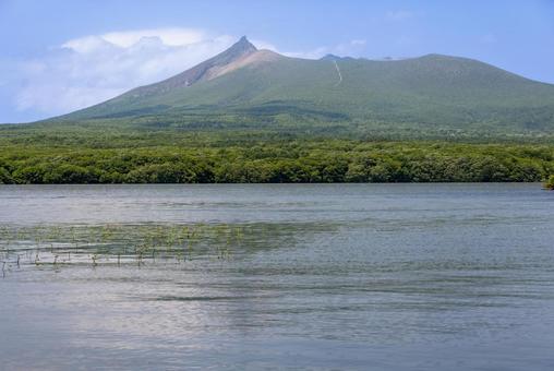 6月の青空と大沼公園と駒ケ岳1 6月の青空と大沼公園と駒ケ岳1 大沼公園,湖畔,駒ケ岳の写真素材