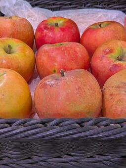 リンゴ04 リンゴ,バラ科リンゴ族,西洋リンゴの写真素材