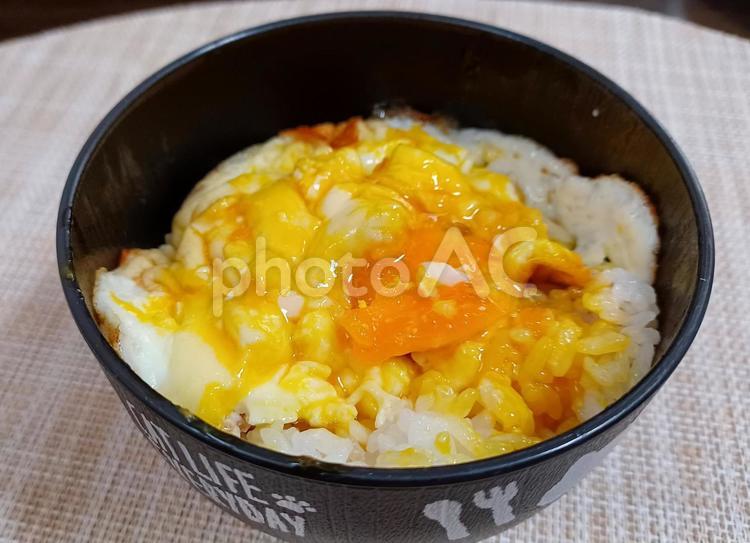 目玉焼きごはん 目玉焼き,卵,ご飯の写真素材