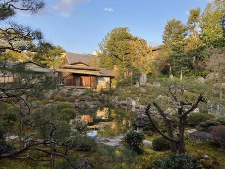 お寺の庭 お寺の庭 自然,風景,草の写真素材