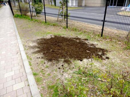 2016年2月、大船松竹公園の工事14 公園,広場,地面の写真素材