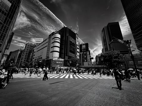 夏のスクランブル交差点、モノクロの写真