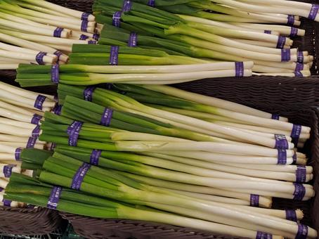 八百屋さんのネギ ねぎ,野菜,冬の写真素材