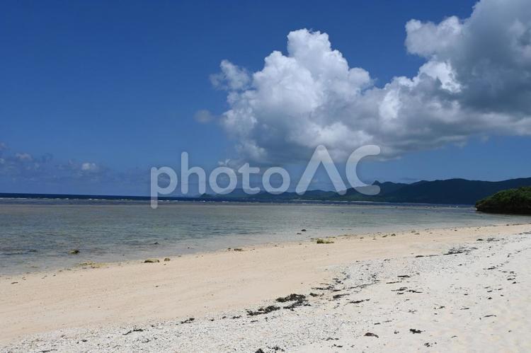 石垣島の海 海,ラグーン,珊瑚礁の写真素材