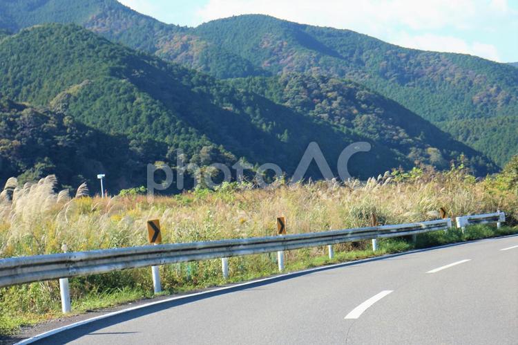 ススキの揺れる安倍川上流の山々 ススキ,枯れる,野草の写真素材