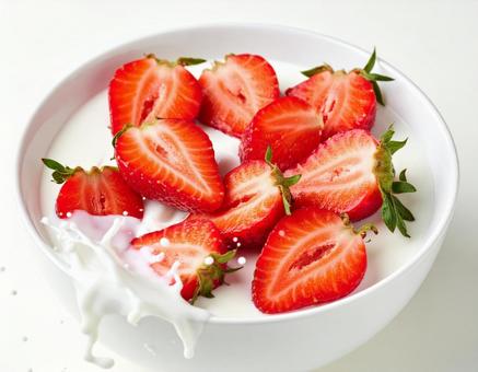 ヨーグルトと苺 いちご 白背景 ヨーグルトと苺 いちご 白背景の写真