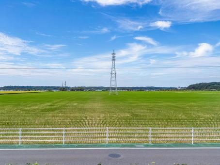 京成線車窓より 九月の佐倉市臼井田の田園 京成線車窓より 九月の佐倉市臼井田の田園 田圃,稲作,米作りの写真素材