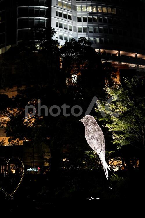 六本木の町並みと鳥のオブジェ 鳥,オブジェ,芸術の写真素材
