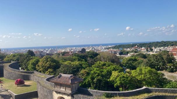 沖縄 自然,風景,沖縄の写真素材
