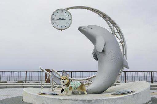 Corgi Cape Noshappu, JPG