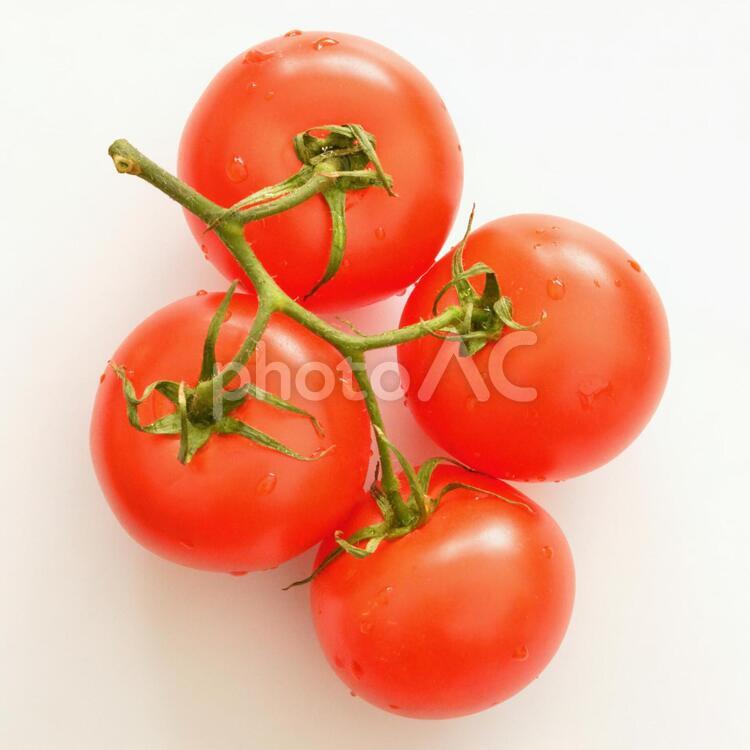 枝つきのトマト トマト,リコピン,赤い野菜の写真素材