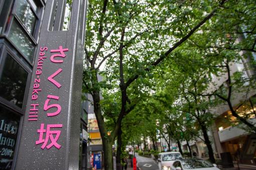 雨の渋谷桜丘さくら坂 雨の渋谷桜丘さくら坂の写真