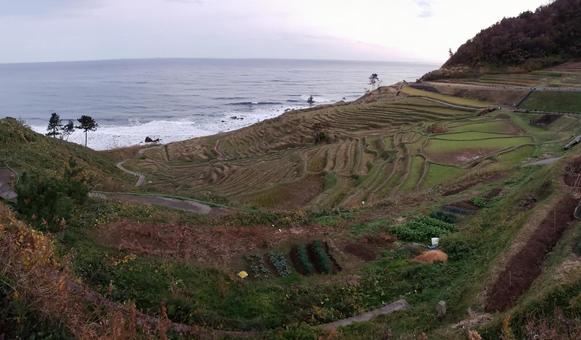 白米千枚田 白米千枚田 風景,自然,海の写真素材