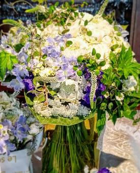 flower flowerの写真