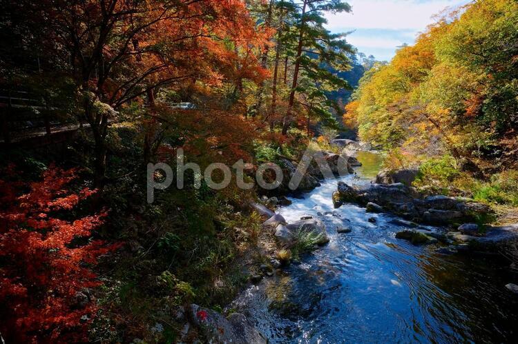 昇仙峡の渓流と紅葉 秋,自然,風景の写真素材