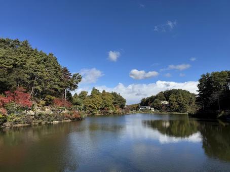 晩秋の小坂田池（長野県塩尻市） 小坂田池,池,pondの写真素材