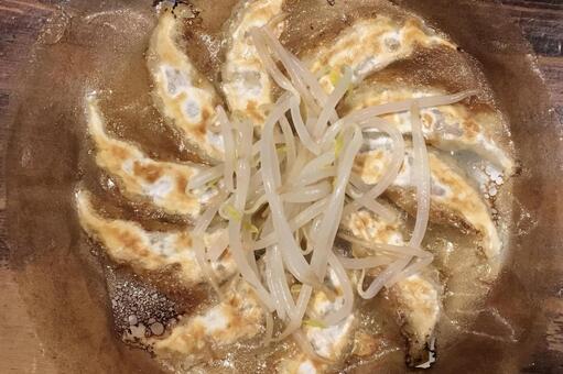 浜松餃子 浜松餃子,餃子,皿の写真素材