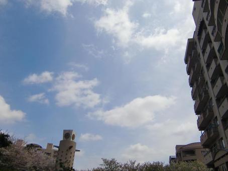 四月の雲-104 四月の雲-104 四月,青空,空の写真素材