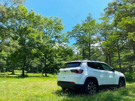 車 suv,青空,森の写真素材