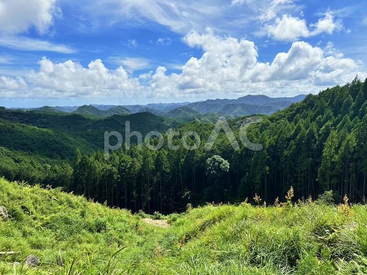 那智高原公園　熊野古道周辺 那智勝浦町,大雲取山,熊野古道入口の写真素材