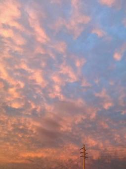 夕やけと送電線 夕やけと送電線の写真