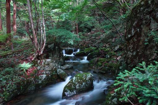 鏡野・白賀渓谷 鏡野・白賀渓谷の写真