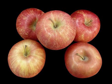 果物・リンゴ リンゴ,林檎,実の写真素材