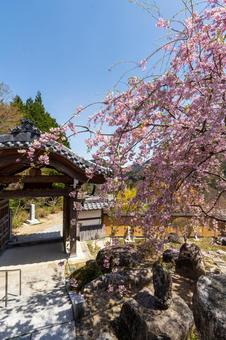 250421信濃比叡廣拯院 250421信濃比叡廣拯院の写真