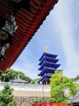 中山寺五重塔 中山寺五重塔 中山寺,参道,花の写真素材