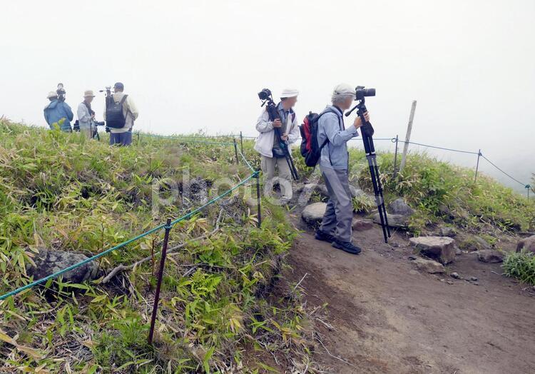 霧の車山の撮影旅行02 きれい,さわやか信州,つつじの写真素材