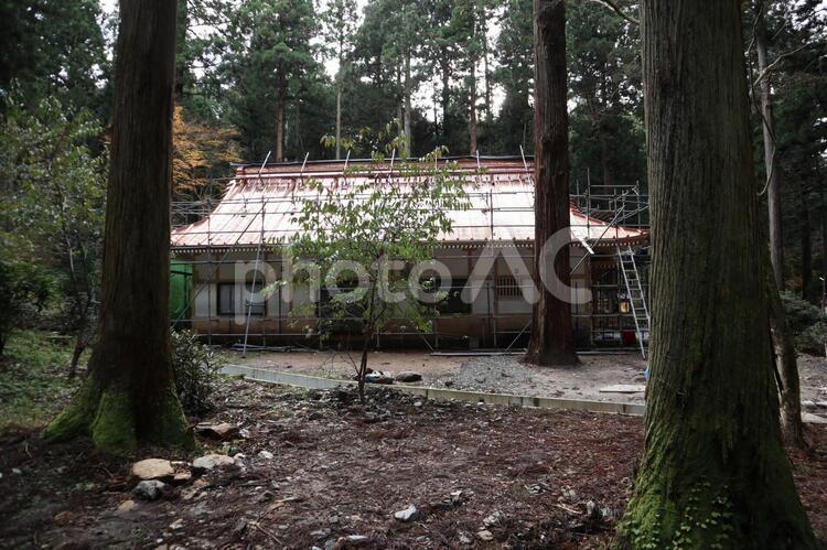 御岩神社　建築中の参集殿 御岩神社,日立,境内の写真素材