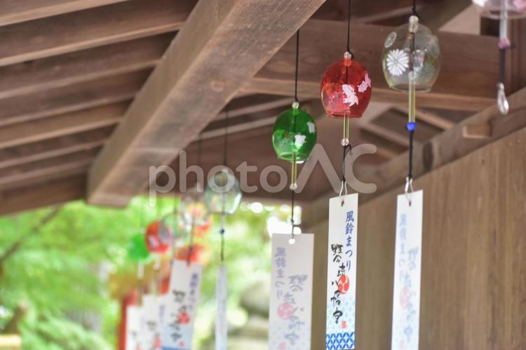 山口　風鈴　琴崎八幡宮 山口,山口県,中国地方の写真素材