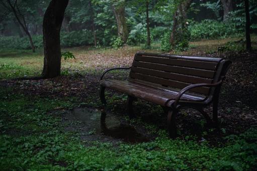雨の日の濡れたベンチ 雨の日の濡れたベンチ ベンチ,公園,雨の写真素材