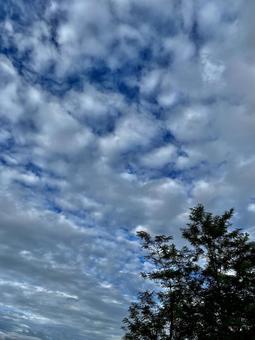 いろんな雲 いろんな雲の写真