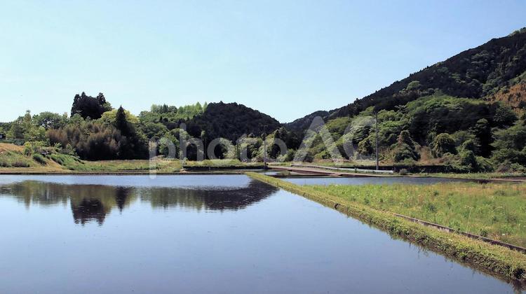 芝川の田植えを待つ田んぼ 田植え,新緑,水張りの写真素材