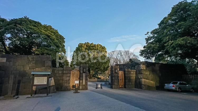 浜離宮庭園 青空,空,鮮やかの写真素材