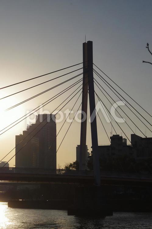 夕日の中の大阪大川に架かる川崎橋 川崎橋,大阪,大川の写真素材