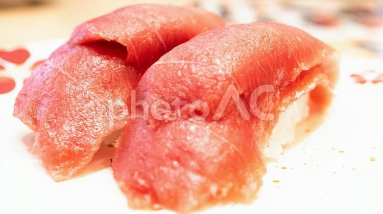 中トロのにぎり寿司 中トロ,握り寿司,寿司の写真素材