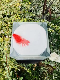 赤い羽 赤い羽 赤い羽,共同募金,外の写真素材