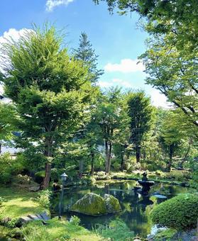 木々の中の池 池,木々,晴れの写真素材