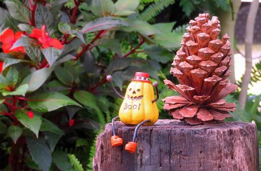 ハロウィン素材/小物飾り・しまね花の郷 ハロウィン素材/小物飾り・しまね花の郷 ハロウィン,小物,松ぼっくりの写真素材