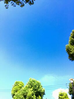 夏の空5 夏の空5の写真