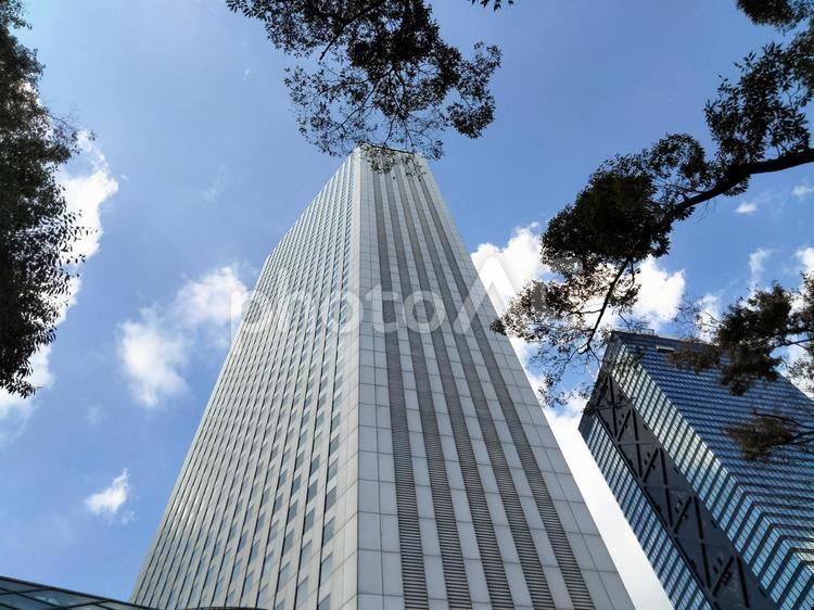 街路樹と三角ビル　西新宿高層ビル街 三角ビル,新宿,空の写真素材