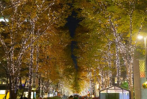 イルミネーション イルミネーション,光,明かりの写真素材