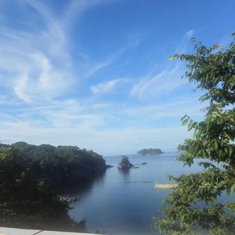 橋の上から浄土ヶ浜を覗く 橋の上から浄土ヶ浜を覗く 海,木,岩の写真素材