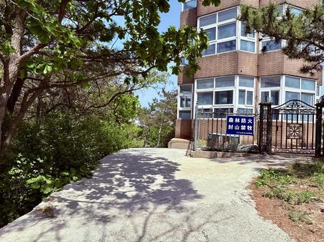 203高地頂上に残る建物 203高地頂上に残る建物 自然,木,山の写真素材