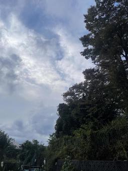 早朝の空 早朝,朝焼け,曇りの写真素材