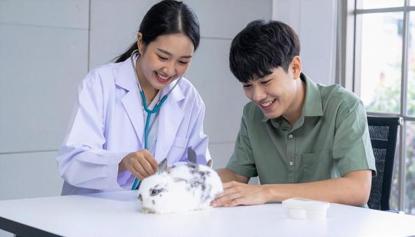 ウサギを診察している獣医と見守る飼い主 ウサギを診察している獣医と見守る飼い主の写真
